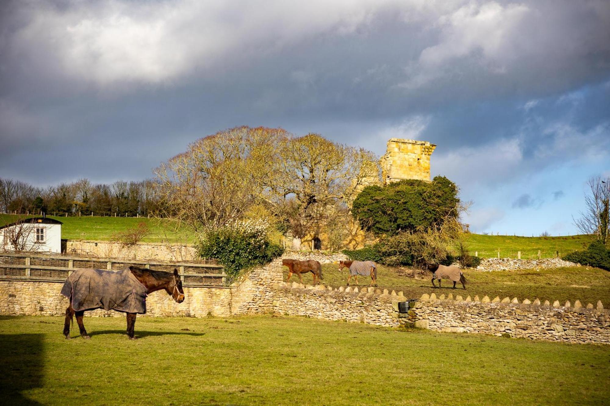 Yew Tree Cottage Ayton Kültér fotó